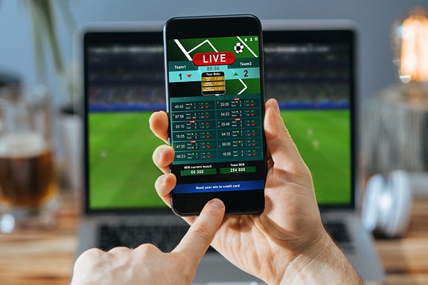 Benefits of the Legalized Betting Industry — Discover the surprising truth about cricket betting - it's 100% legal and booming!