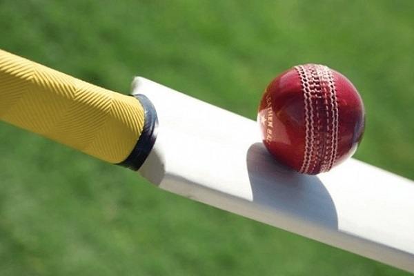 Unleash Your Inner Cricket Pro: Master the Art of Betting with These Insane Tips & Tricks!